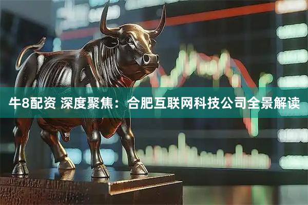 牛8配资 深度聚焦：合肥互联网科技公司全景解读