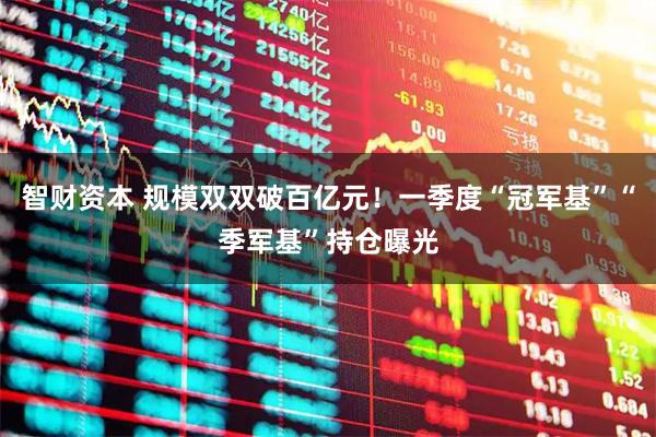 智财资本 规模双双破百亿元！一季度“冠军基”“季军基”持仓曝光