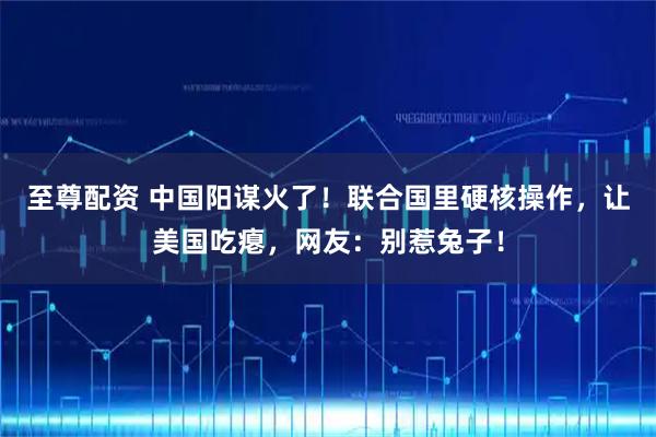 至尊配资 中国阳谋火了！联合国里硬核操作，让美国吃瘪，网友：别惹兔子！