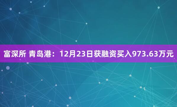 富深所 青岛港：12月23日获融资买入973.63万元