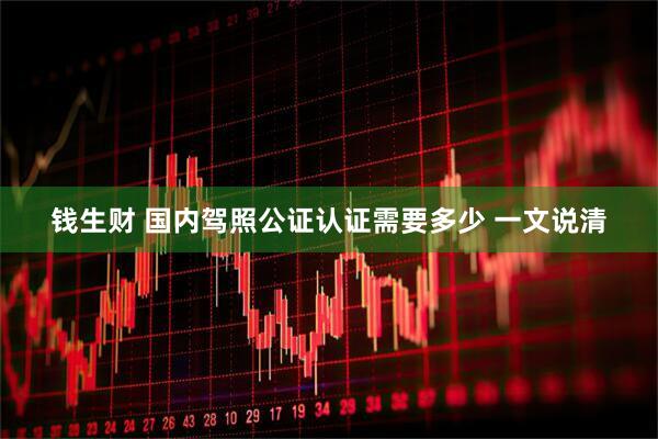 钱生财 国内驾照公证认证需要多少 一文说清